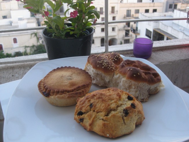 maltese good morning pleasures 