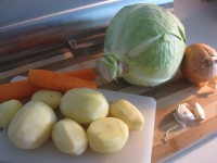 the materials for the cabbage soup.