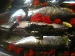 fresh wild mackerels with lots of green herbs, garlic, lemon and tomatoes, steamed in the oven